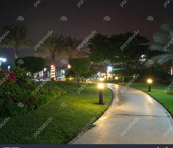 عکس شب باغ