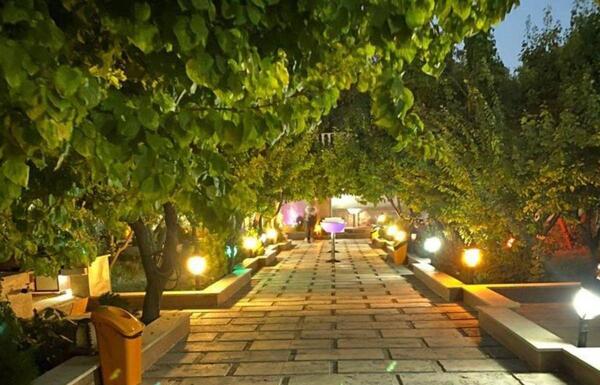 عکس شب باغ