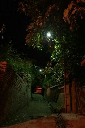 عکس شب باغ