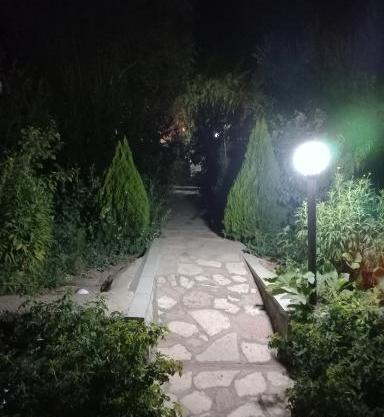 عکس شب باغ