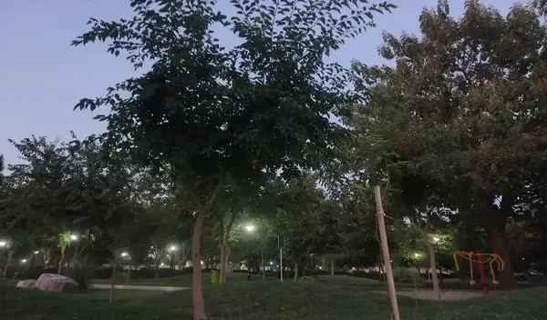 عکس شب تو پارک