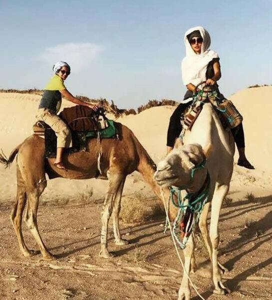 عکس شبرنگ شتر