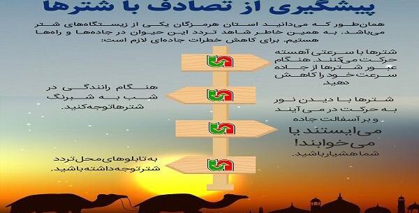 عکس شبرنگ شتر