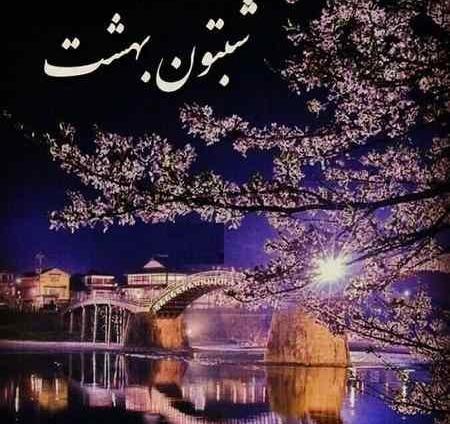 عکس شب بخیر عشقم