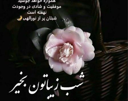 عکس شب بخیر عشقم