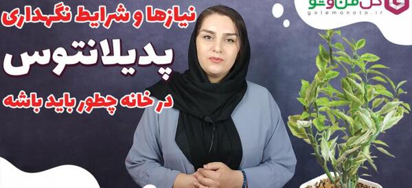 عکس گل استخوان شیطان
