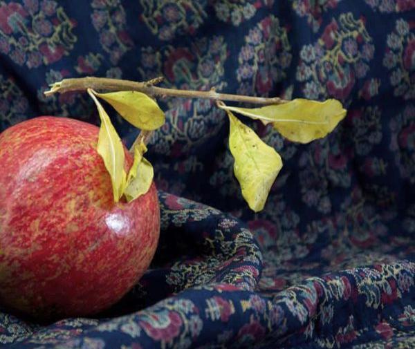 عکس شب یلدا سیاه و سفید
