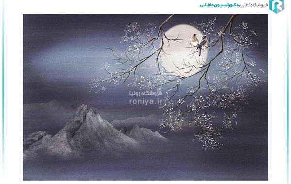 عکس شب مهتابی زمستان