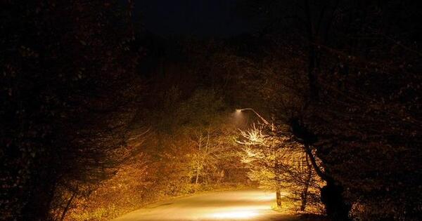 عکس از پارک در شب