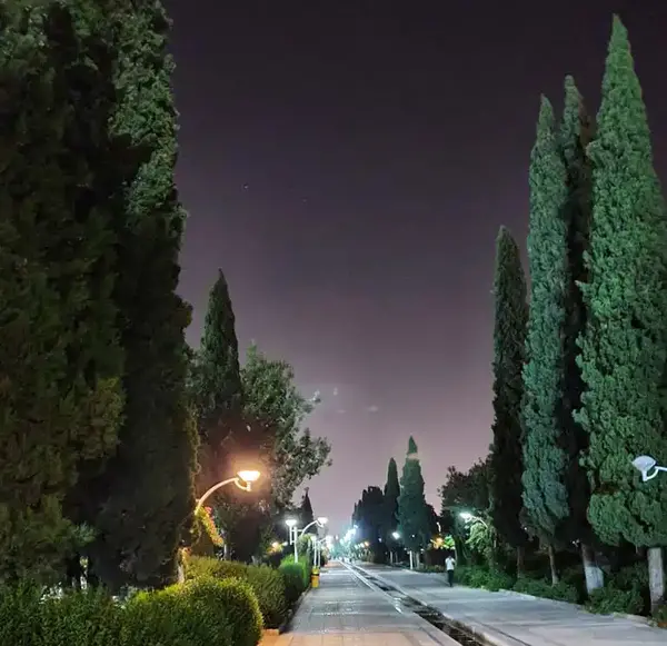 عکس از پارک در شب