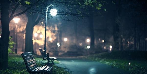 عکس از پارک در شب