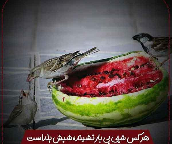 عکس شب یلدا دلتنگی