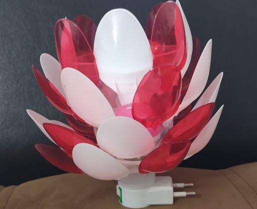 عکس گل شب چراغ