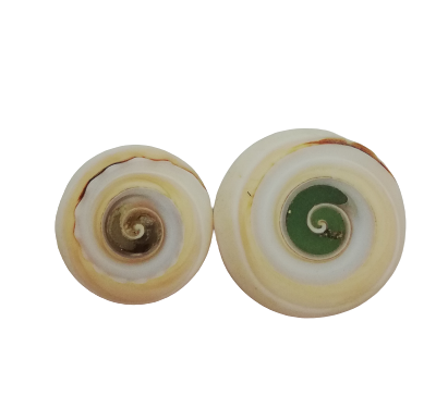 عکس گوهر شب چراغ واقعی