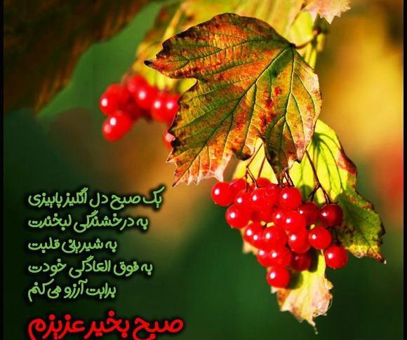 عکس شب بخیر پاییزی