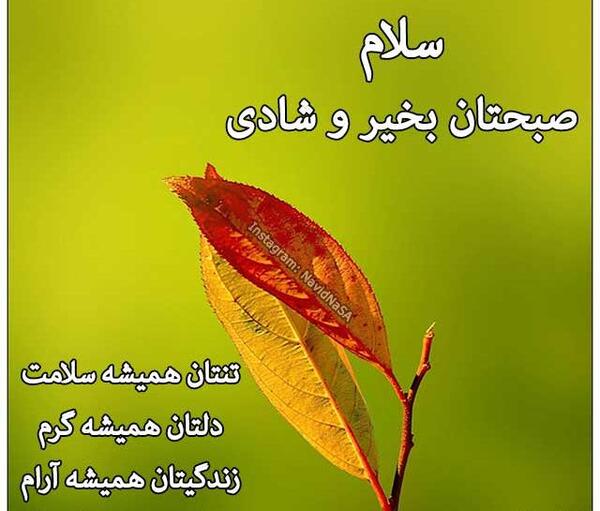 عکس نوشته شب بخیر عربی