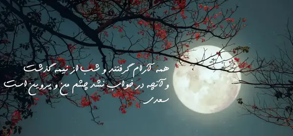 عکس پروفایل آرامش شب