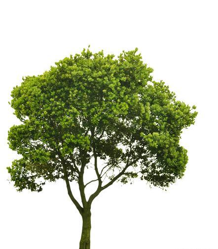 دانلود عکس سه بعدی برای فتوشاپ