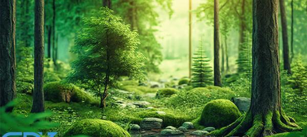 زیباترین عکس های سه بعدی