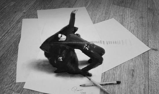 عکس های سه بعدی نقاشی
