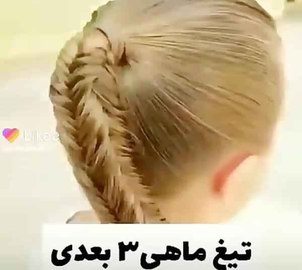 عکس بافت تیغ ماهی سه بعدی