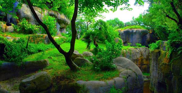 دانلود عکس منظره سه بعدی