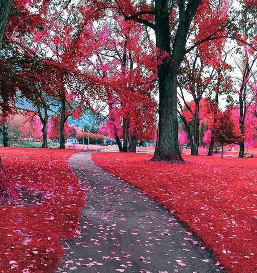 دانلود عکس منظره سه بعدی