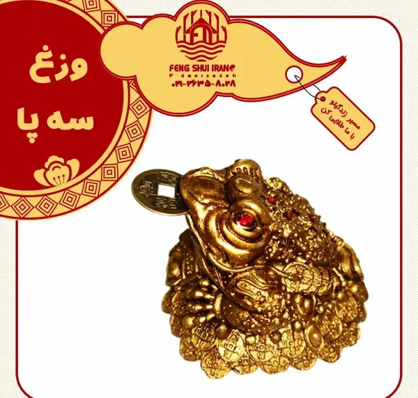 عکس قورباغه سه بعدی