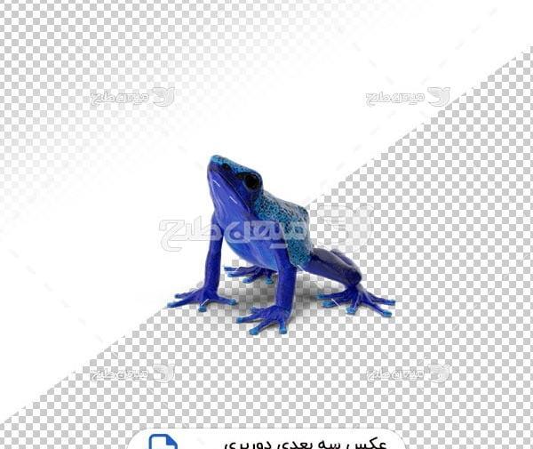 عکس قورباغه سه بعدی