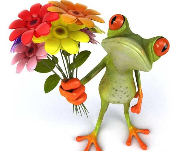 عکس قورباغه سه بعدی