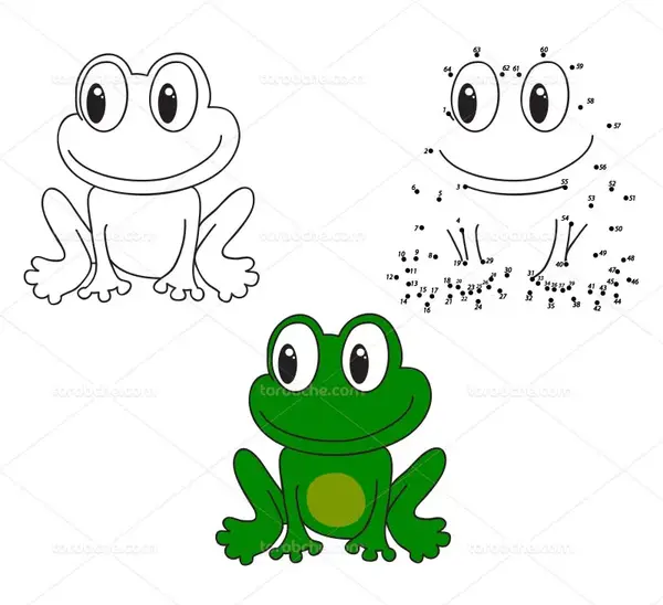 عکس قورباغه سه بعدی