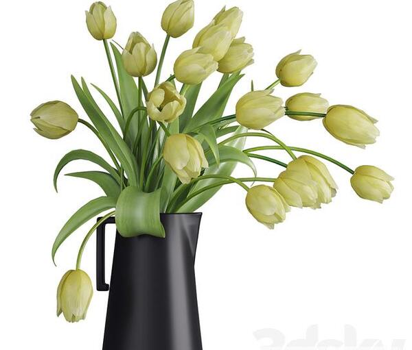 عکس سه بعدی گلدان