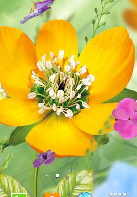 دانلود عکس سه بعدی گل