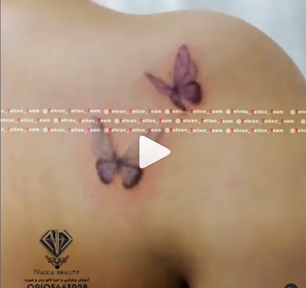 عکس طرح سه بعدی پروانه