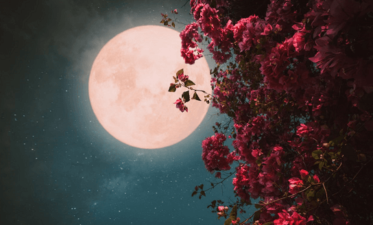 عکس های سه بعدی شب یلدا