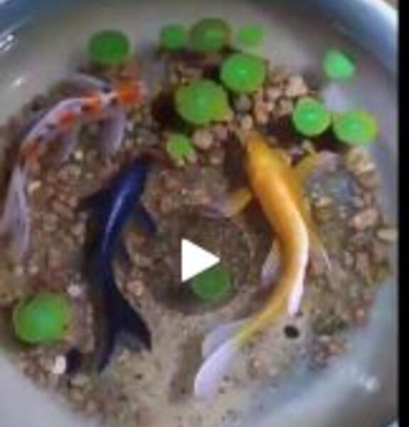 عکس نقاشی سه بعدی سخت