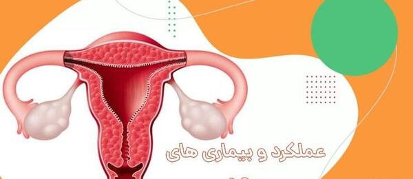 عکس سه بعدی رحم نی نی سایت