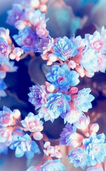 عکس پس زمینه گوشی دخترانه سه بعدی