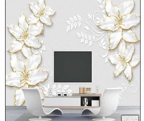 عکس سه بعدی برای پشت تلویزیون