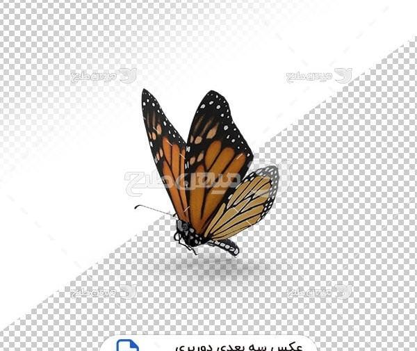 دانلود عکس پروانه سه بعدی