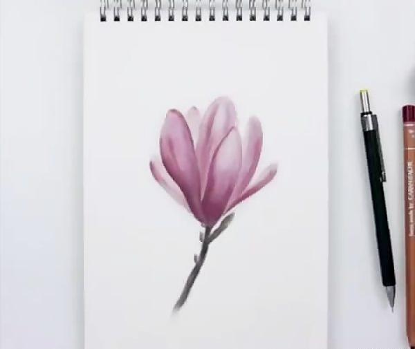 عکس طراحی ساده با مداد گل