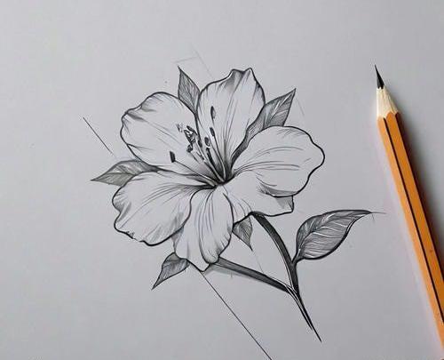 عکس طراحی ساده با مداد گل