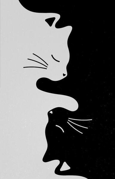 عکس پس زمینه ساده سفید