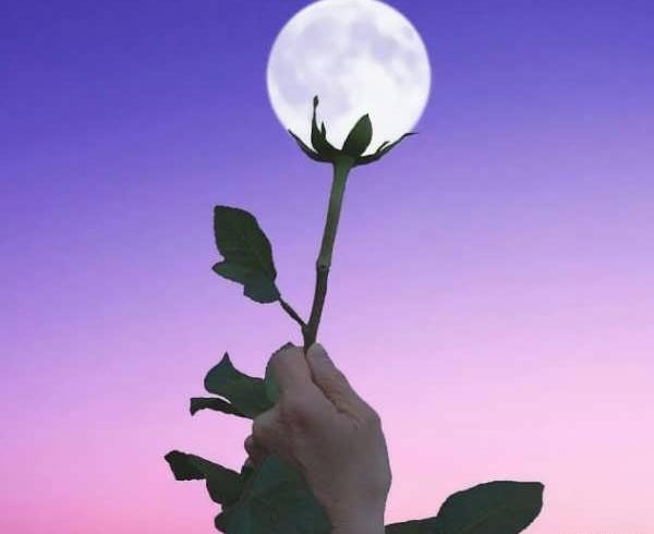 عکس جذاب ساده