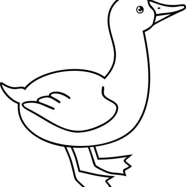 عکس جوجه ساده نقاشی
