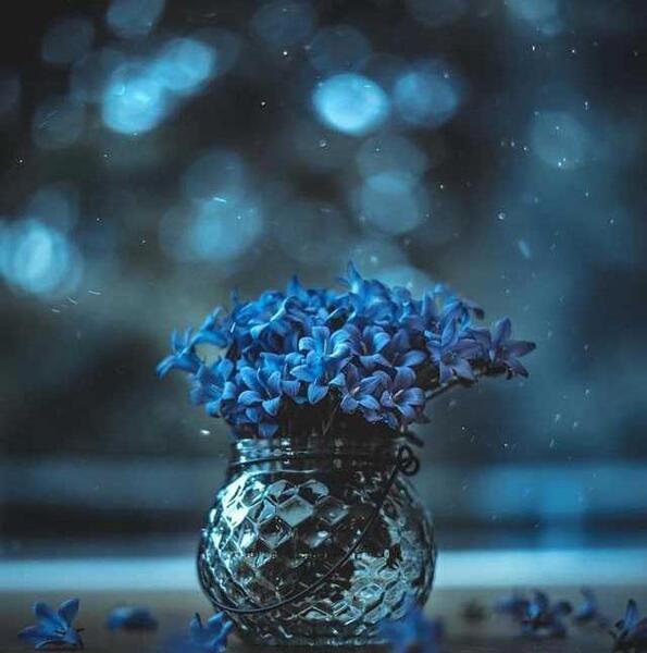 عکس پروفایل ساده و جذاب