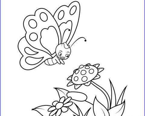 عکس نقاشی پروانه ساده و زیبا