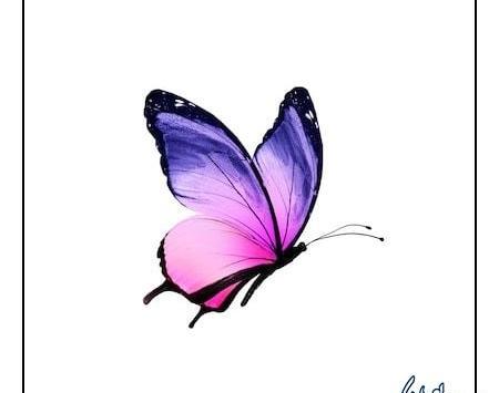 عکس طراحی پروانه ساده