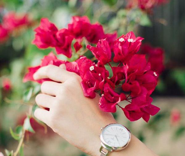 عکس رنگی ساده برای پروفایل