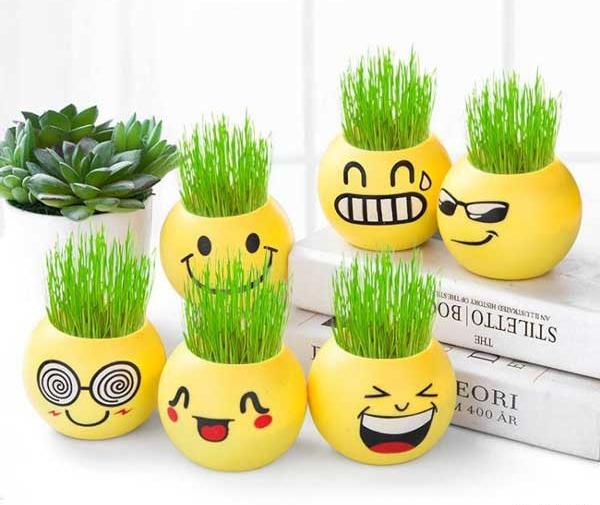 عکس مدل سبزه های عید
